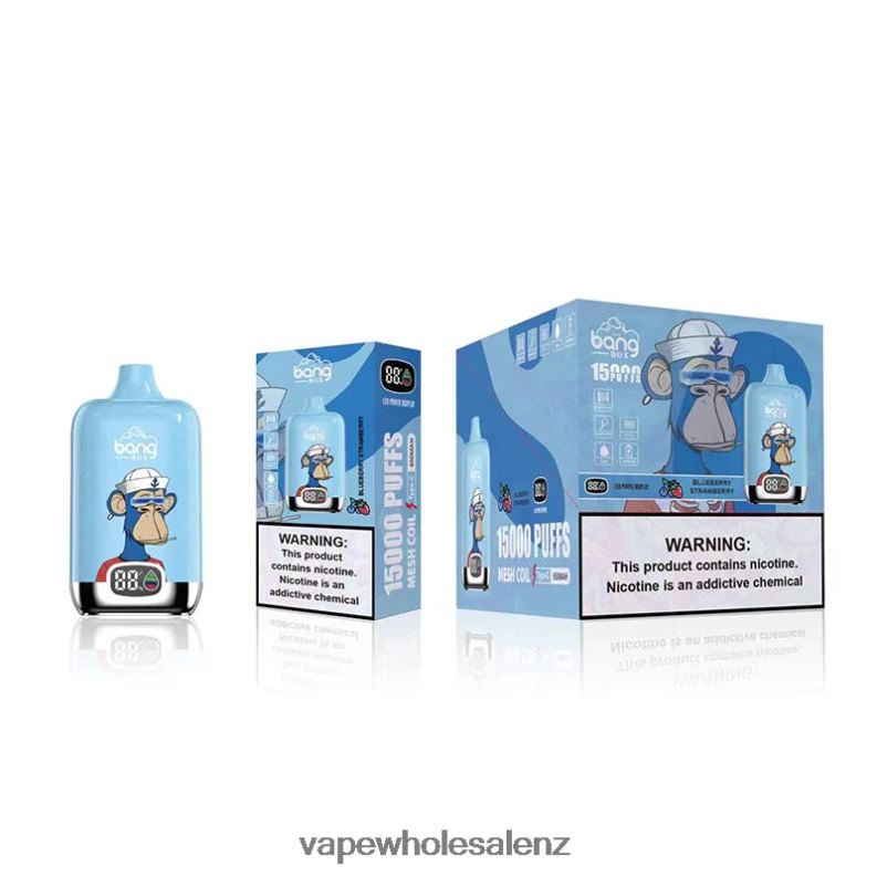 E Cig Wholesale - Blueberry Strawberry NPP44132 Bang Box 15000