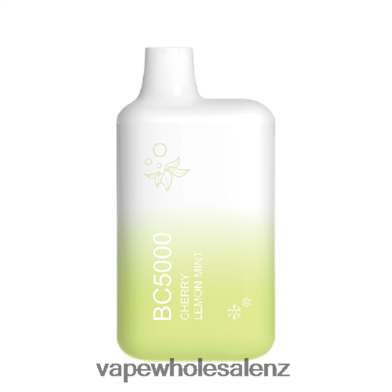 E Cig Wholesale - Lemon Mint NPP44302 ELFBAR BC5000