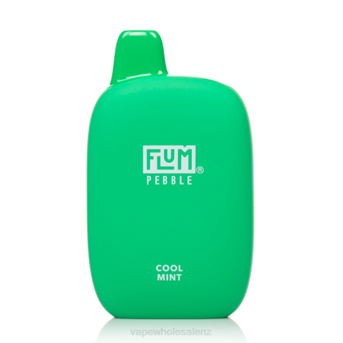 Vape Wholesale NZ - FLUM PEBBLES 6000 PUFFS Cool Mint 48Z226