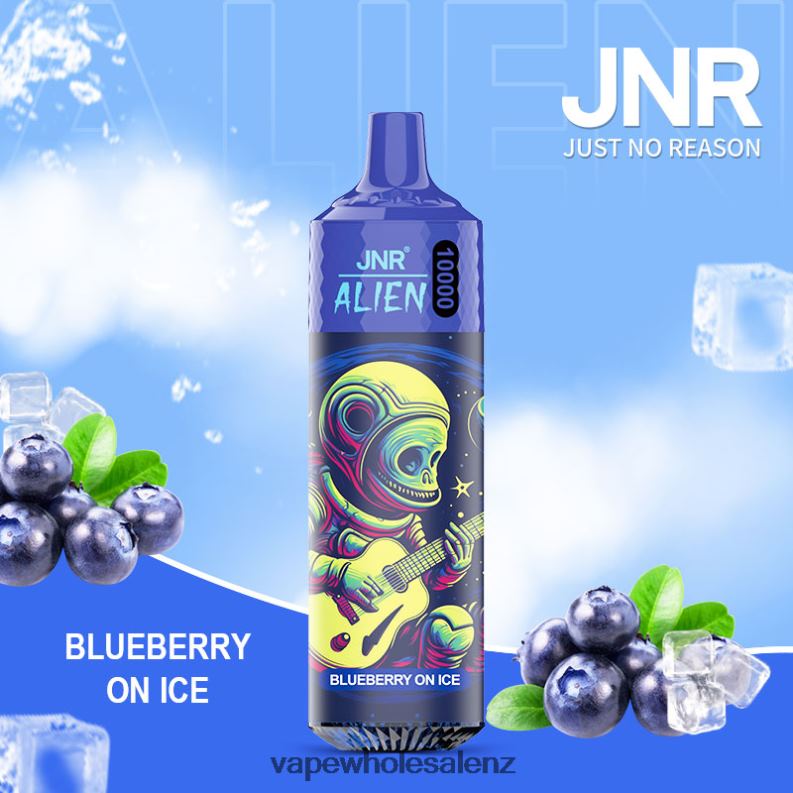 Vape Wholesale Supplier - Blueberry On Ice NPP44639 JNR ALIEN