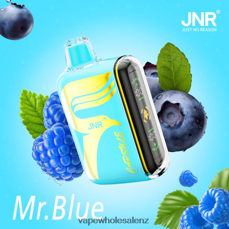 Electronic Cigarette Wholesale Price - Mr.Blue NPP44606 JNR CAPSULE