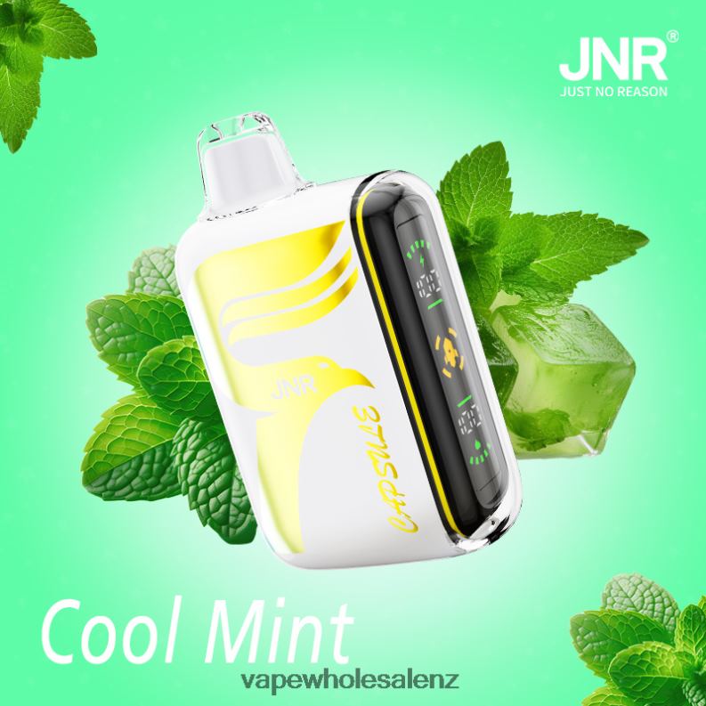 Electronic Cigarette Wholesale Supplier - Cool Mint NPP44604 JNR CAPSULE