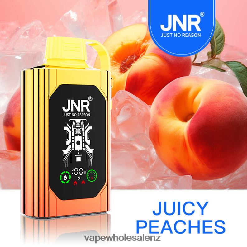 E Cig Wholesale - Juicy Peaches NPP44622 JNR SHISHA BOX