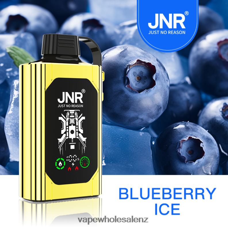 Vape Wholesale NZ - Blueberry Ice NPP44617 JNR SHISHA BOX