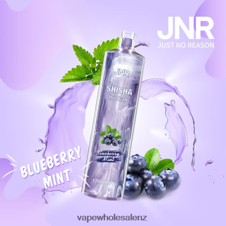 E Cig Wholesale - Blueberry Mint NPP44672 JNR SHISHA