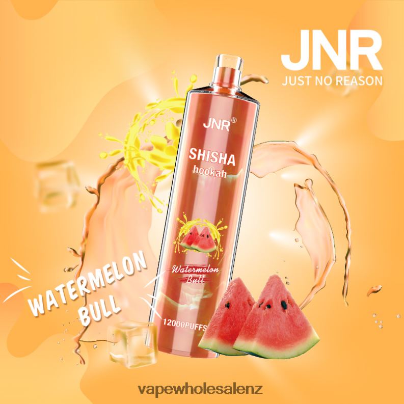 E Cig Wholesale - Watermelon Bull NPP44692 JNR SHISHA