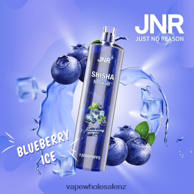 E-Cigarette Wholesale - Blueberry Ice NPP44671 JNR SHISHA