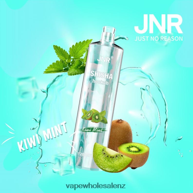 E-Cigarette Wholesale - Kiwi Mint NPP44681 JNR SHISHA