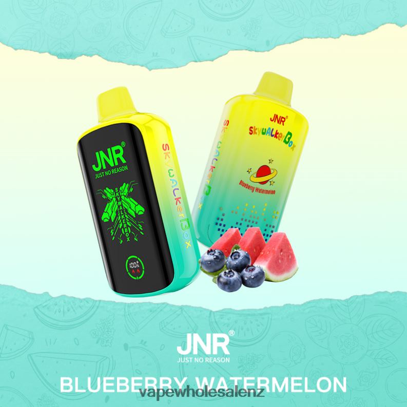 Electronic Cigarette Wholesale Price - Blueberry Watermelon NPP44586 JNR SKYWALKER BOX