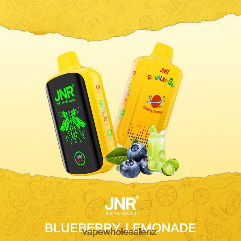 Electronic Cigarette Wholesale Supplier - Blueberry Lemonade NPP44584 JNR SKYWALKER BOX