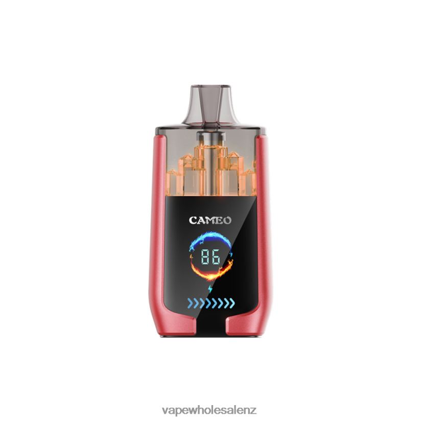 Cheapest Vape Wholesale - Watermelon Ice LAVIE CAMEO 30000 Puffs PV8H6F14