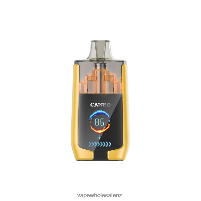 E-Cigarette Wholesale - Mango Ice LAVIE CAMEO 30000 Puffs PV8H6F21