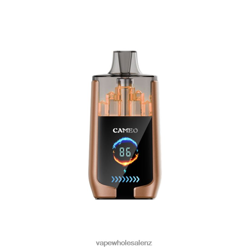 Electronic Cigarette Price - Coffee Ice LAVIE CAMEO 30000 Puffs PV8H6F18