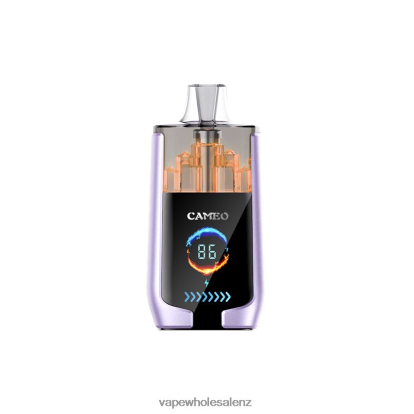 Vape Suppliers NZ - Grape Ice LAVIE CAMEO 30000 Puffs PV8H6F16