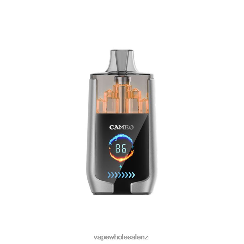 Vape Supplies NZ - Blueberry Ice LAVIE CAMEO 30000 Puffs PV8H6F15