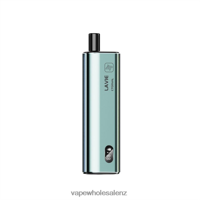 E-Cigarette Wholesale - Mint Ice LAVIE ETERNAL 10000 Puffs PV8H6F121