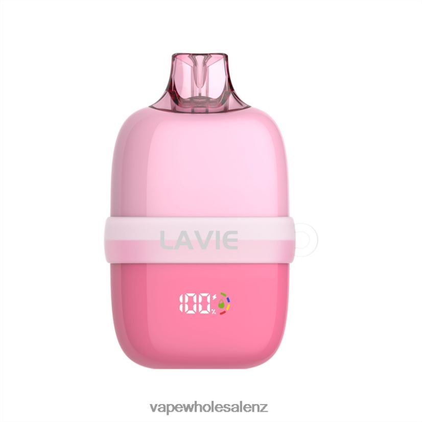 E-Cigarette Wholesale - Strawberry Watermelon LAVIE INSIDER 12000 Puffs PV8H6F81