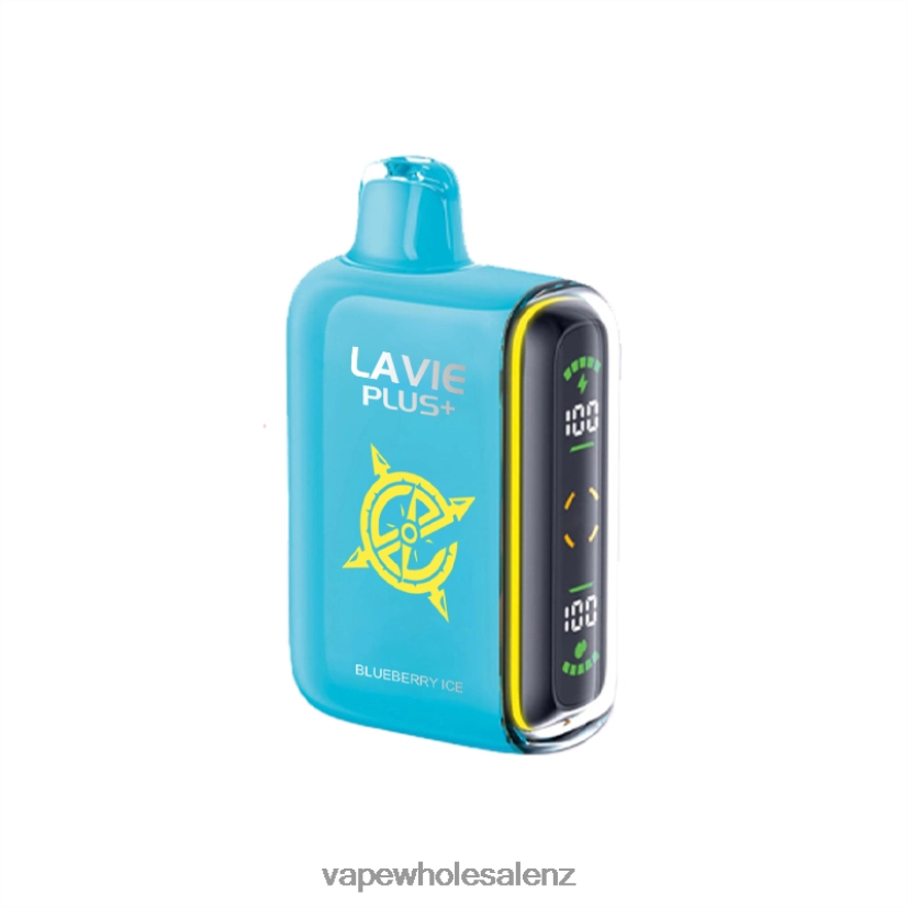 E-Cigarette Wholesale - Blueberry Ice LAVIE PLUS 15000 Puffs PV8H6F101