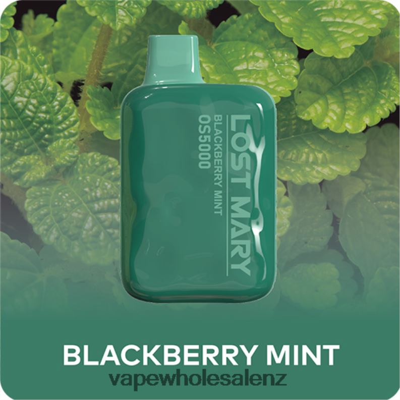 E Cigarettes Wholesale Suppliers - Blackberry Mint NPP44485 LOST MARY OS5000