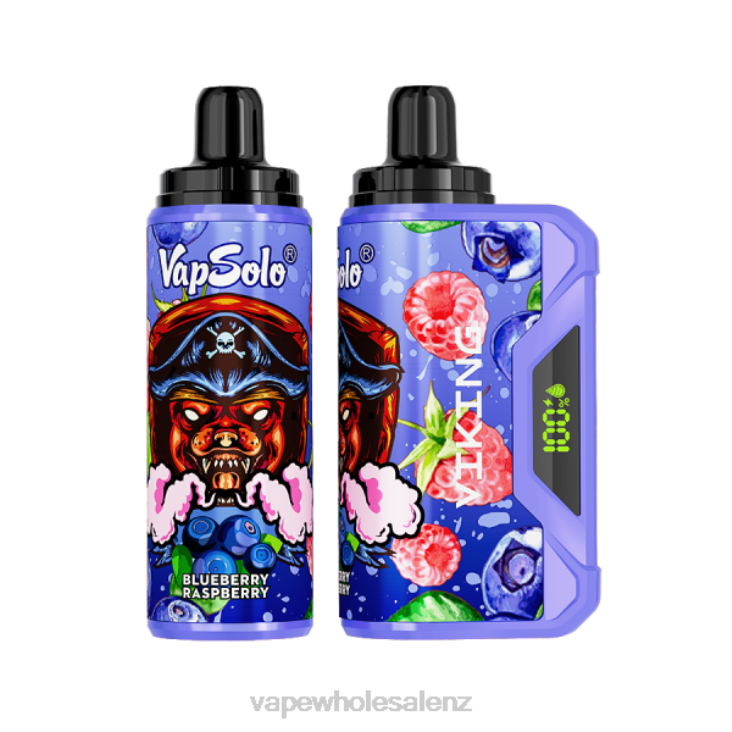 Vape Wholesale Prices - Vapsolo VIKING Disposable Vape Blueberry Raspberry NTV8132