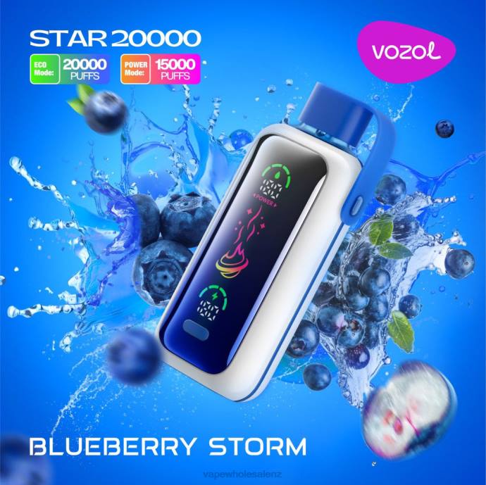 E Cigarettes Wholesale Suppliers - BLUEBERRY STORM VOZOL STAR 20000 4XV25